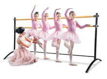 Load image into Gallery viewer, Pre-Loved Artan Balance Double Bar Barre - Curved Legs - SLEEPING BEAUTY series