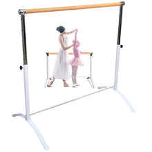 Load image into Gallery viewer, Single Bar Barre - Curved Legs - SLEEPING BEAUTY Series