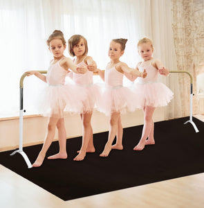 New!!! Curved Ballet Barre SWAN LAKE Series Portable for Home or Studio