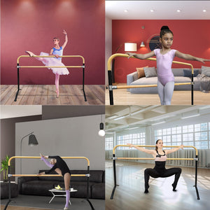 New!!! Curved Ballet Barre SWAN LAKE Series Portable for Home or Studio