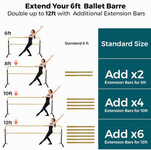 New!!! Curved Ballet Barre SWAN LAKE Series Portable for Home or Studio