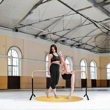 Load image into Gallery viewer, New!!! Curved Ballet Barre SWAN LAKE Series Portable for Home or Studio