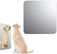 Load image into Gallery viewer, Pull and Stair Unbreakable Kids Wall Mirror - Heavy Duty Plexiglass Acrylic, Rounded Corners