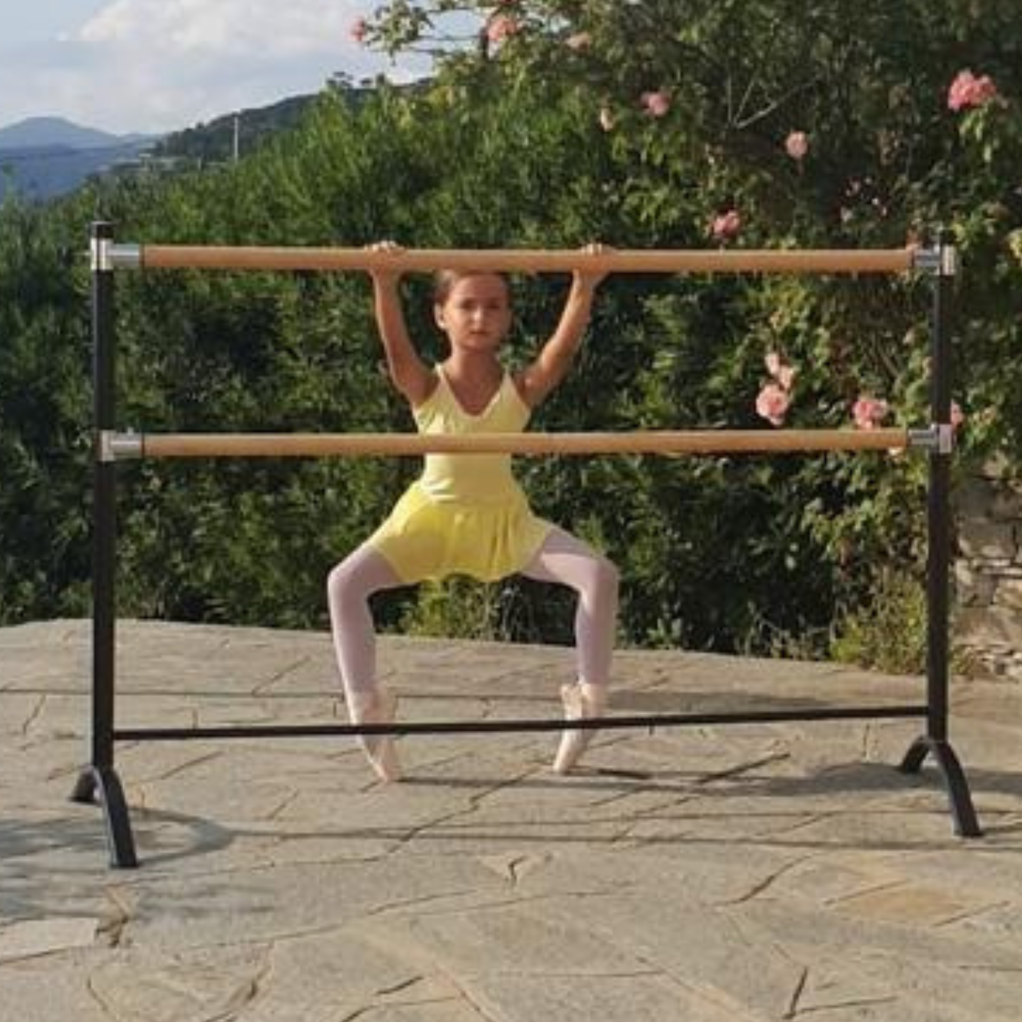 Double Bar Barre Curved Legs SLEEPING BEAUTY series ArtAn Ballet