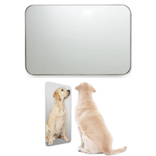 Load image into Gallery viewer, PULL AND STAIR Pull Up Bar Baby Coordination Mirror Set