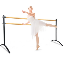 Load image into Gallery viewer, Double Bar Barre - Curved Legs - SLEEPING BEAUTY series