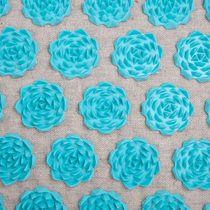 Acupressure Mat and Pillow Set